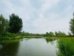 -东郊湿地公园