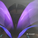 一波三折的修手机之旅