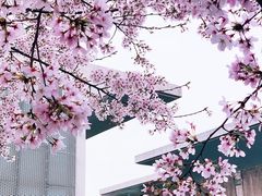 -龙美术馆(西岸馆)