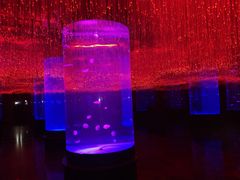 -波塞冬旅游度假区