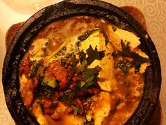 -陈麻婆豆腐总店
