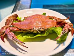 -李氏疙瘩汤·本地海鲜·老烟台菜(所城里店)