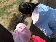 -石家庄市动物园