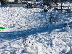 -太子岭滑雪场