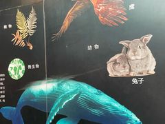 -安徽省地质博物馆