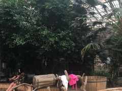 -龙达温泉生态城