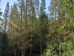 -上海怡沁园度假酒店