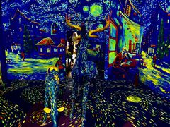 -天津梵高星空艺术馆(天河城旗舰店)