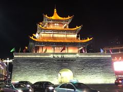 -金塔沙漠胡杨林景区