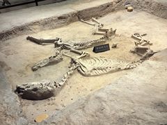 -洛阳周王城天子驾六博物馆