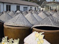 -苏州市吴中区光福窑上花果蜜饯厂