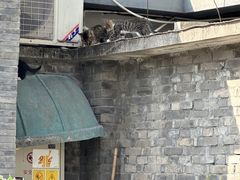 -平安桥天主教堂