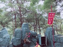 -石燕湖生态旅游景区