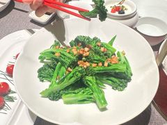 -秀儿四九城·新京菜(亚运村鸟巢店)