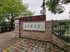 -嘉定紫藤园