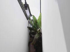 -程十发艺术馆