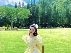 -深圳仙湖植物园-停车场