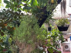 -Arunda oriental massage