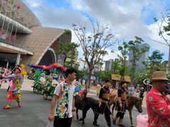 -灵玲国际马戏城
