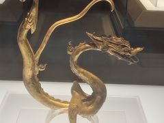 -陕西自然博物馆