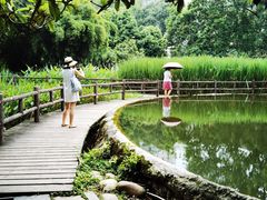 -成都市活水公园