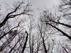 -六鼎山文化旅游区