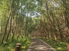 -同里国家湿地公园