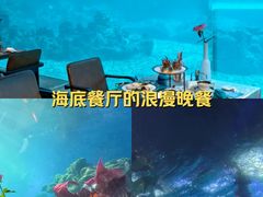 -海棠湾洲际-涛·海底餐厅·美人鱼·自助餐·海底隧道