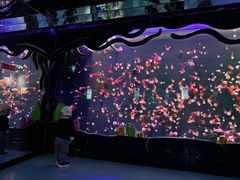 -石家庄极地海洋世界