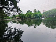 -晓港公园