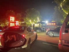 -桃姐农庄老字号(增城分店)