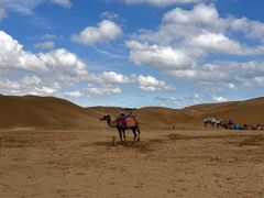 -银肯塔拉沙漠生态旅游景区