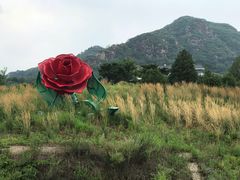-密云玫瑰情园