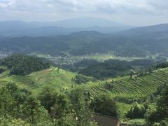 -紫鹊界梯田景区