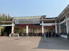 -中国科学院西双版纳热带植物园