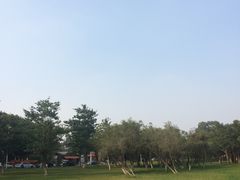 -松山湖南湖湾露营营地