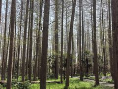 -上海怡沁园度假酒店