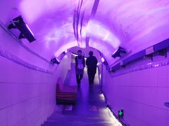 -洞庭洲·防空洞火锅·铜锅涮肉·烧烤(新百广场店)