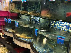 水产区-揭阳钟记小食(福田新村店)