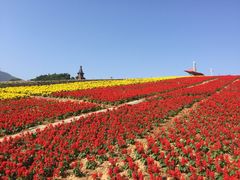 iphone_upload_pic-东部华侨城