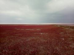 -红海滩国家风景廊道