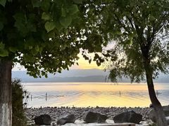 -西昌邛海湿地
