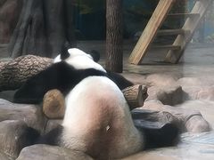 -南宁市动物园