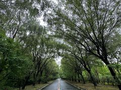-同里国家湿地公园