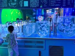 -左海海底世界