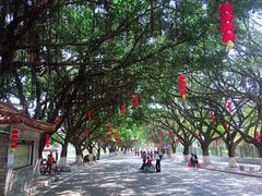 -南沙天后宫景区