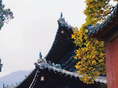 -报恩寺(平武县)