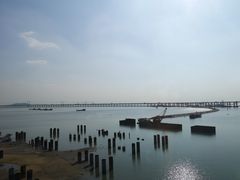 -深圳湾公园(南山区)