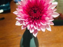 -ZEN采蝶轩·粤味臻鲜·手作点心·商务宴请(泰州店)