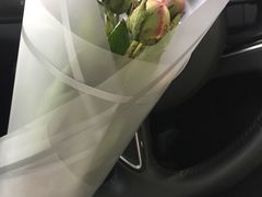 -溪岸路花鸟市场